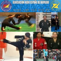 Hapkido