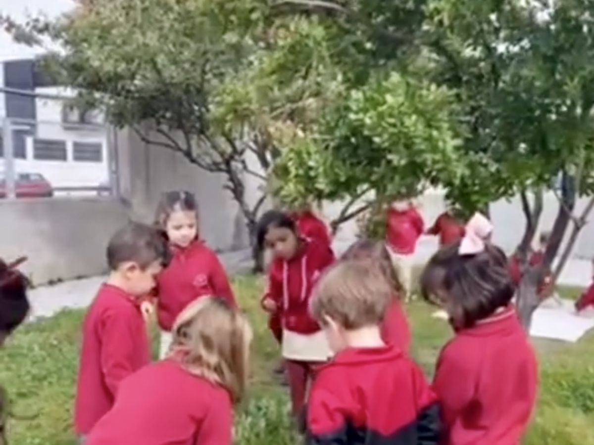 Educación Infantil Segundo Ciclo colegio valle del miro valdemoro