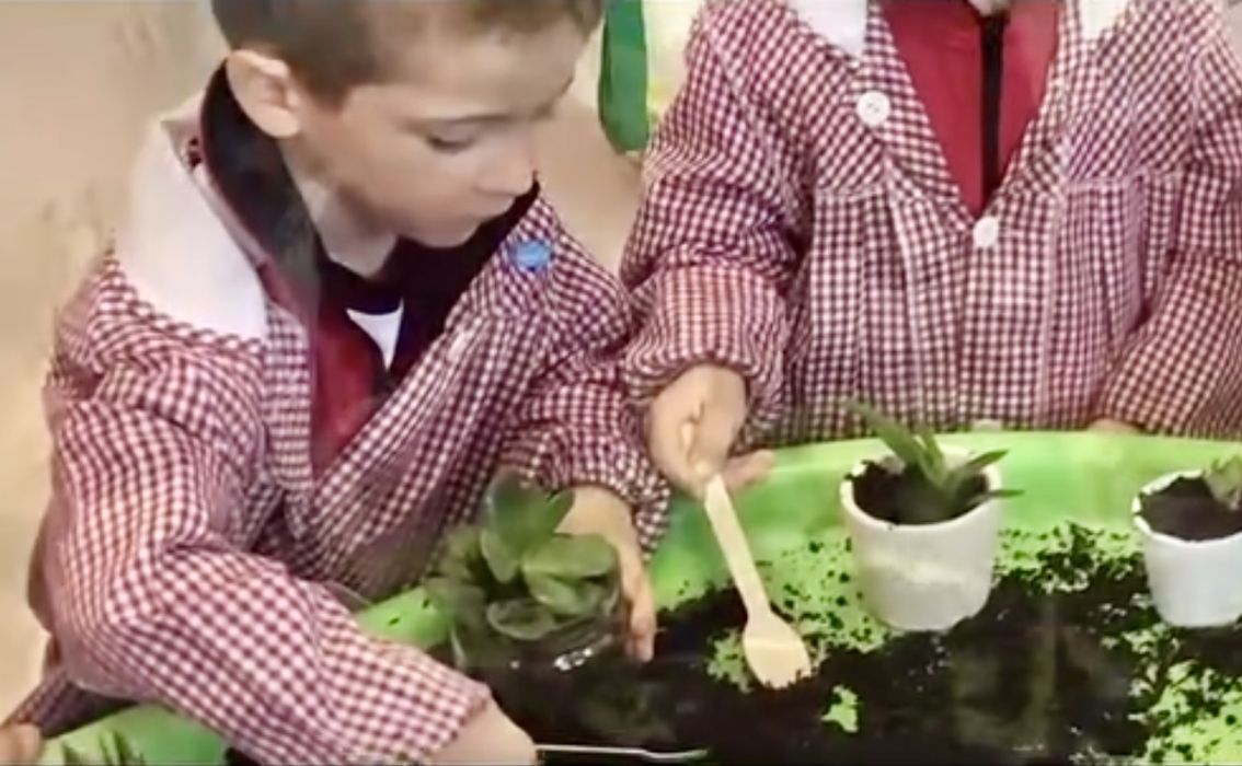 Educación Infantil Segundo Ciclo colegio valle del miro valdemoro